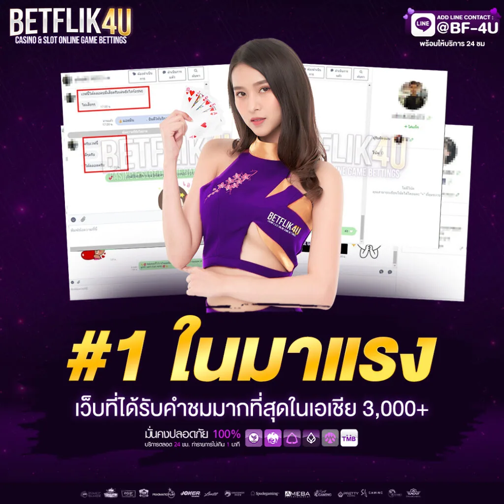 โปรโมชั่น maxmpdb
