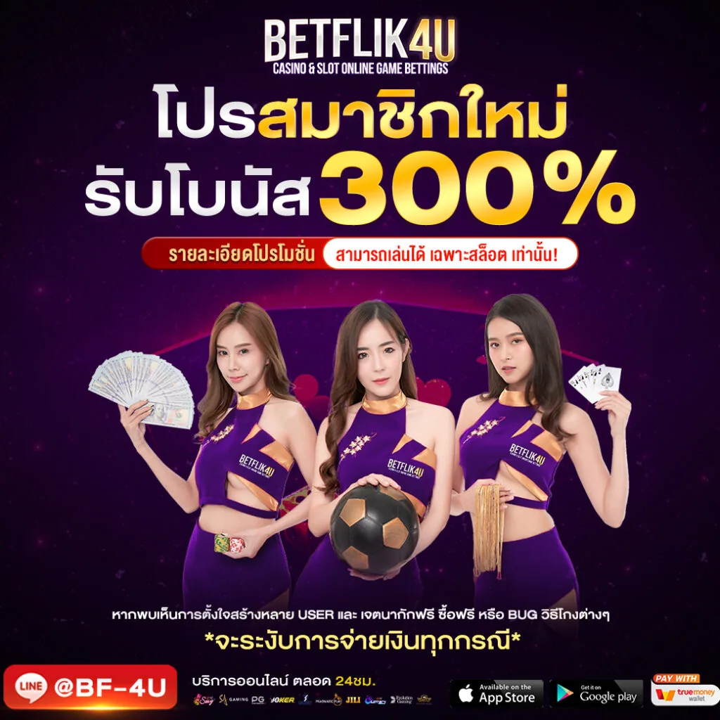 โปรโมชั่น maxmpdb