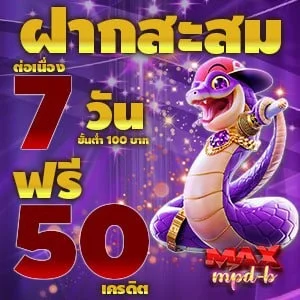 โปรโมชั่น maxmpdb